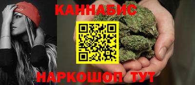 гидра Краснознаменск