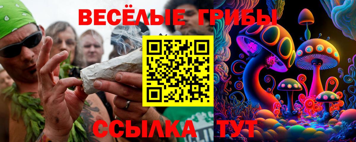 Ишим  Галлюциногенные грибы Psilocybine cubensis  Вход с VPN 